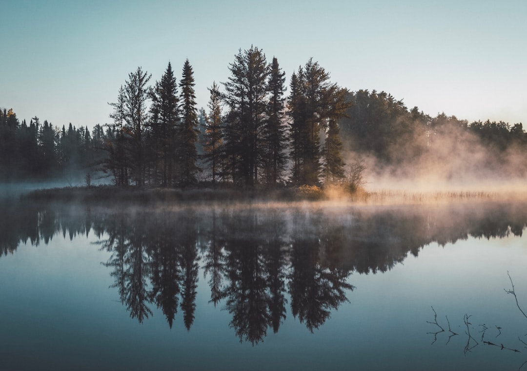 Photo Forest therapy