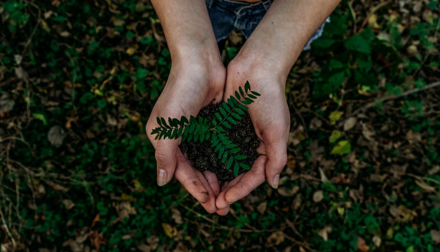 Innowacje w recyklingu: nowe metody i technologie