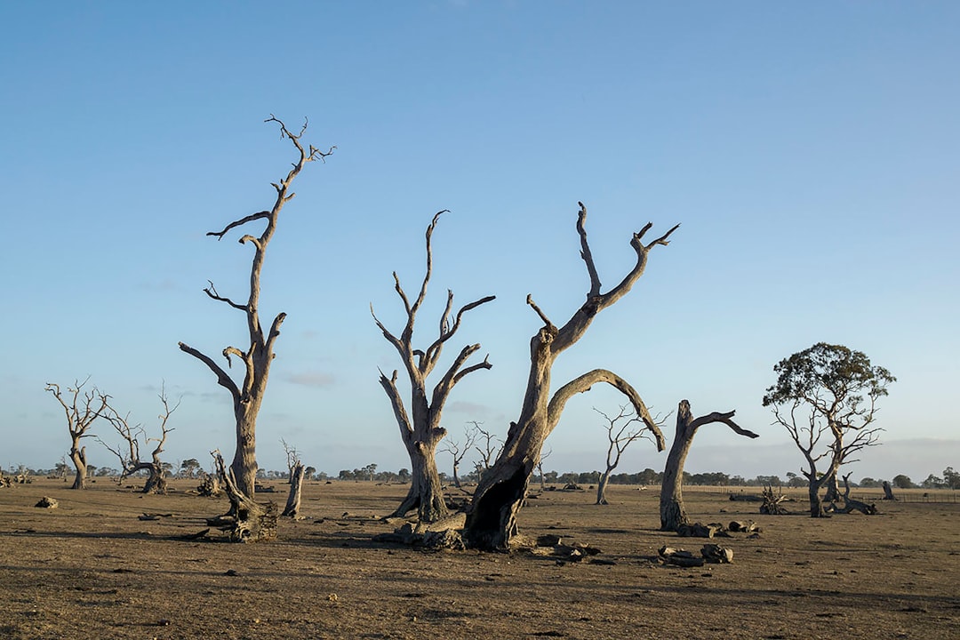 Photo klimatyczne wioski