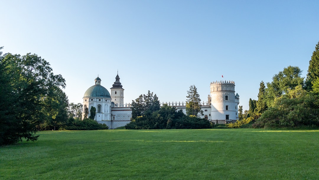 Photo oldest trees in Poland