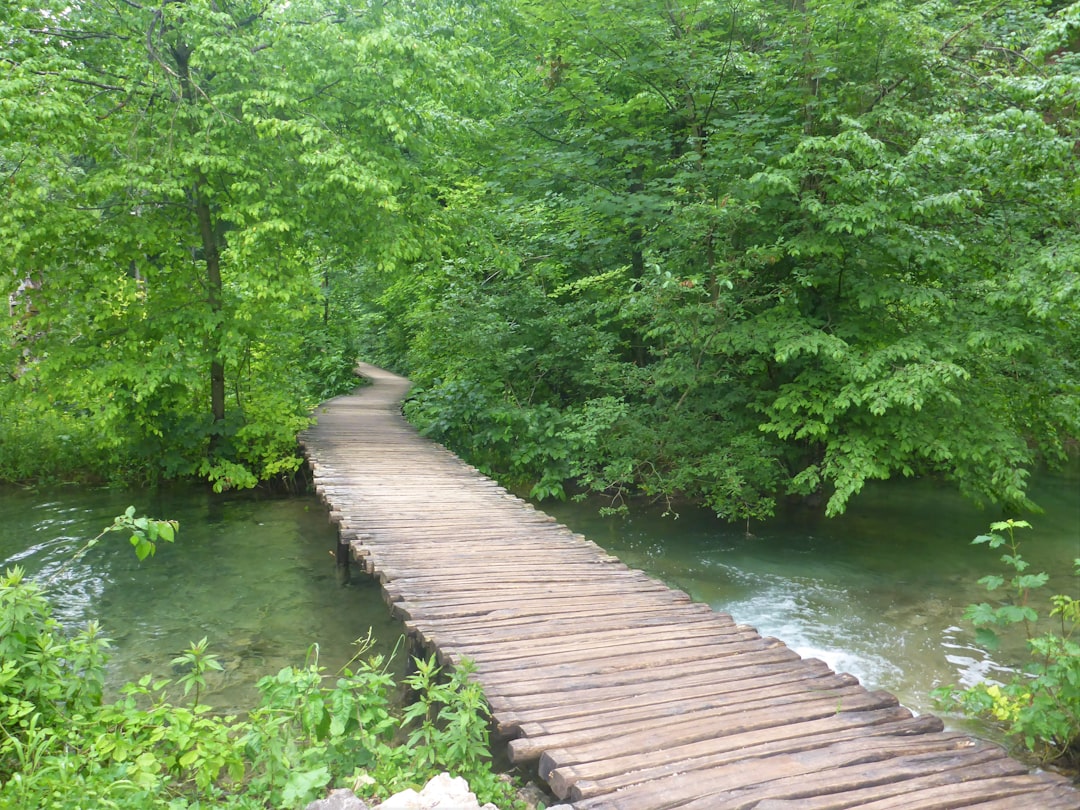 Photo UNESCO sites